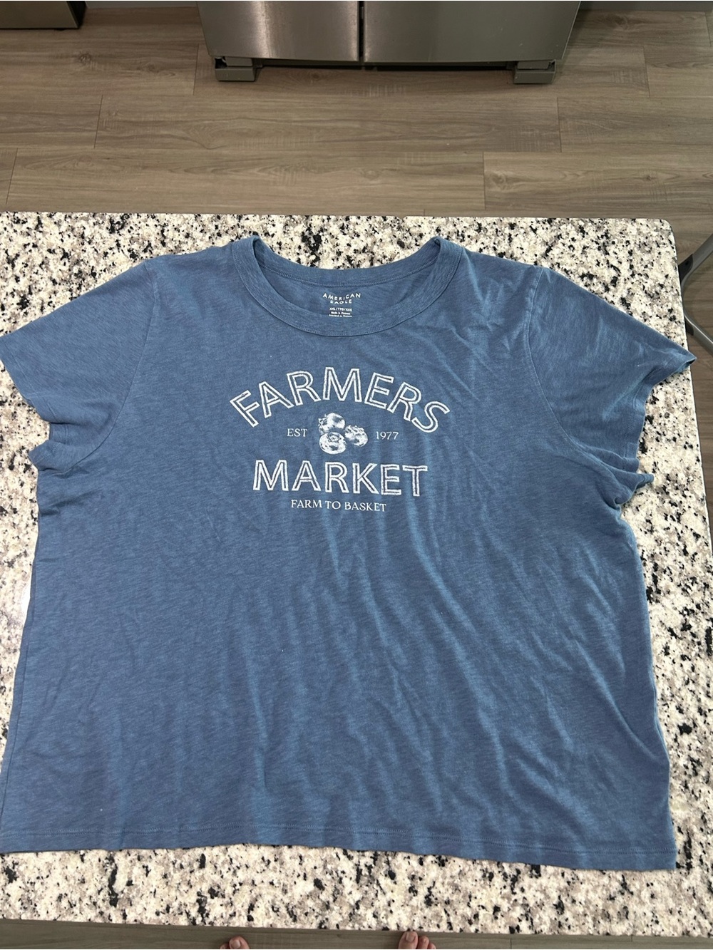 American Eagle Outfitters Blue 'Farmers Market' Graphic Tee